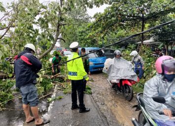 Pohon Tumbang, Polantas Takalar Sigap Urai Kemacetan
