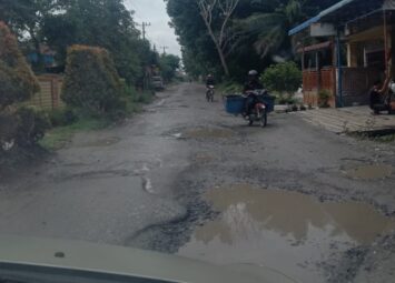 20 Tahun Jalan Desa Ibarat Kubangan Kerbau” Diduga Aparat Tutup “Telinga”