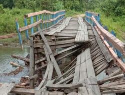 Kurangnya Perhatian Khusus Pemerintah Kolaka Timur