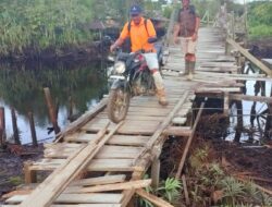 Jembatan Dadau Rusak Parah dan Sudah Makan Korban, Mardani Minta PT LAIK Bantu Dengan CSR