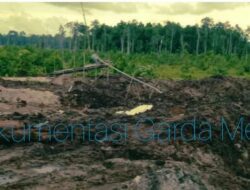 Diduga Oknum DPRD Kota Singkawang Beraktivitas Ilegal di Ketapang