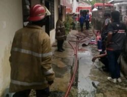 Sijago Merah Melalap Bedeng Kontrakan di Kabupaten Bungo