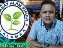 Ketua Umum SALAMBA, Ganda Mora Desak Kapolda dan Gakkum KLHK Riau Tangkap Pelaku Ilegal Logging
