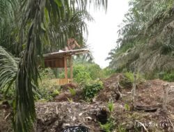 Lahan Petani di Serobot, Diduga Ada Oknum Mantan Pejabat