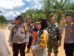 AKBP Pitria Mega Kapolres Tebo Tinjau Lokasi Banjir