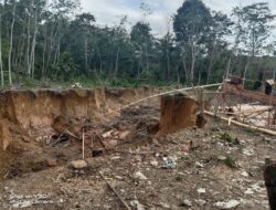Pertambangan Tanpa Ijin Marak di Rimbo Bujang, Dugaan APH “Tutup Mata”
