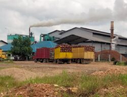 Bau Busuk Limbah Pabrik Sawit Resahkan Warga 