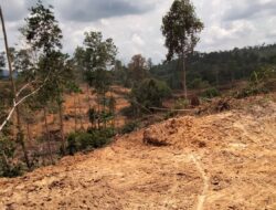Dugaan PT.WKS Distrik VIII Tebo Menyerobot Lahan Masyarakat
