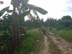  Warga Mak Segak Selakau Tua Harap Ada Penimbunan Jalan dan PJU