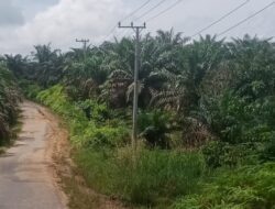 Miris! Dugaan Puluhan Tahun PLN Masuk Belum di Pasang Lampu Jalan Dinas ‘PERKIM’