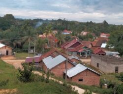 Desa Kunangan Kec Tebo Ilir Golongan Desa Maju