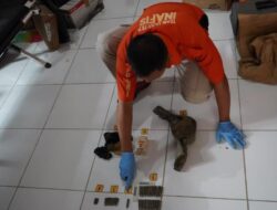 33 Butir Amunisi Aktif Ditemukan Warga, Kapolres Poso Beri Apresiasi