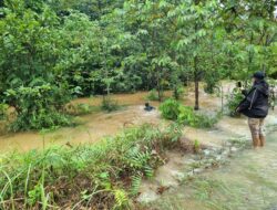 Detik-detik Satgas Yonif 725/Woroagi Selamatkan Pelajar Terbawa Arus Banjir