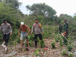 Sinergitas TNI-Polri Pada Pelaksanaan TMMD di Kabupaten Bulukumba