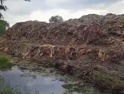 Limbah Perusahaan Pabrik Triplek PT. Rajawali, Menggunung Diatas Parit