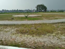 DPW IWO Indonesia Jambi Minta Pemerintah Buka Suara Terkait Mega Proyek RTH