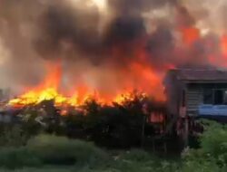 Puluhan Rumah di Kota Jambi Habis Dilahap Sijago Merah