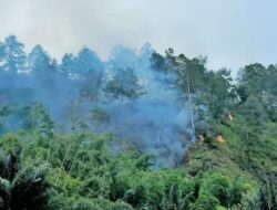 Tinjau Kebakaran Hutan, Bupati Simalungun Perintahkan Damkar Untuk Padamkan Api