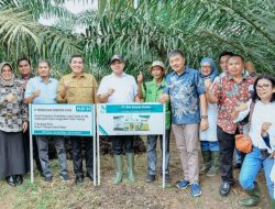 Kenalkan Pupuk Organik Limbah Sawit Bupati Zahir Bisa Jadi Alternatif Atasi Kelangkaan Pupuk