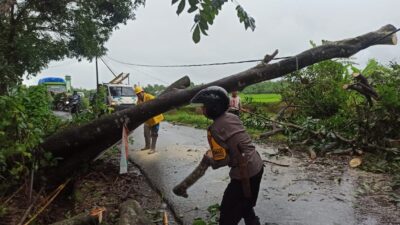 TNI-POLRI dan Warga Gotong Royong Evakuasi Pohon Tumbang