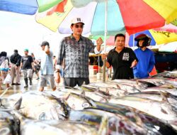 Belanja di Pasar Ikan dan Sentral Gorontalo, Fadel Muhammad Peluang Besar Ekspor Ikan
