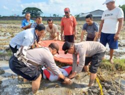 Penemuan Mayat di Tengah Sawah