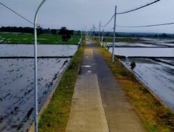 Pemasangan PJU Telah Merata di Wilayah Kecamatan, Warga Bojonegoro Makin Merasa Aman dan Nyaman