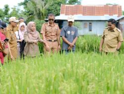Pj Bupati Jeneponto ingin Jeneponto Menjadi Daerah Penghasil Benih Padi, yang Unggul dan Berpotensi