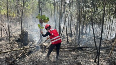 Respon Cepat, Batalyon A Pelopor Brimob Kaltim Padamkan Karhutla di Sepinggan