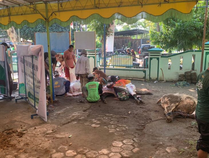 Sholat Idul Adha 1445 H dan Penyembelihan Hewan Qurban Masjid Baitul Mufid Klipang