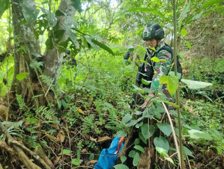 Satgas Yonif 122/TS Kembali Berhasil Temukan Narkoba Jenis Ganja Kering Seberat 1,2 Kg