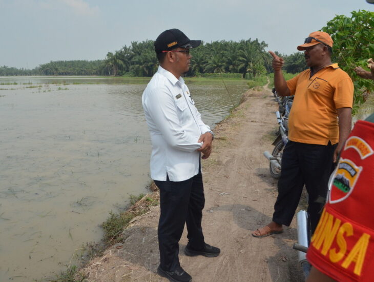 Petani Gagal Panen, Akibat Ratusan Hektar Sawah Terendam Banjir