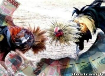 Warga Resah, Judi Dadu dan Sabung Ayam di Cokro Pakis Malang Buka Kembali