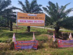 Asset Negara Kebun Penara PTPN II Beralih ke Mafia Tanah ???