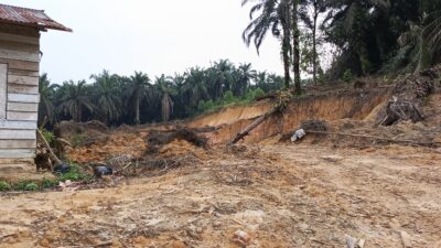 Terpantau Aktivitas Tambang Galian C Tanpa Izin Resmi, Alat Berat Standby di Lokasi