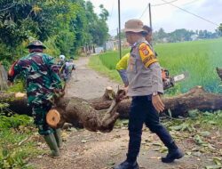 Evakuasi Cepat!Bhabinkamtibmas dan Babinsa Desa Popo Bersama Warga Gotong Royong Bersihkan Pohon Tumbang