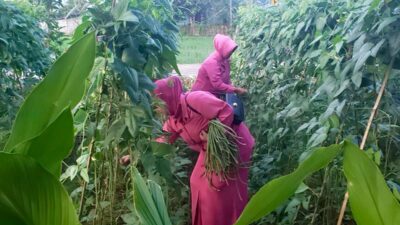 Ketua Ranting Bhayangkari Mappakasunggu Gelar Panen Kacang Panjang Dukung Program Ketahanan Pangan Nasional