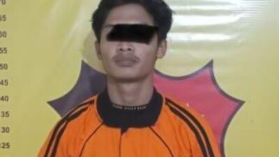 Asik Curi Sawit Milik PT Serdang Hulu, Pelaku Diciduk Polsek Sei Bingai