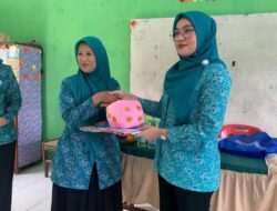 Mewakili Pemko Binjai, Wakil Ketua I TP PKK Kota Binjai Menyerahkan Alat Permainan Edukatif Sebagai Wujud Peduli Tumbuh Kembang Anak