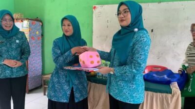 Mewakili Pemko Binjai, Wakil Ketua I TP PKK Kota Binjai Menyerahkan Alat Permainan Edukatif Sebagai Wujud Peduli Tumbuh Kembang Anak