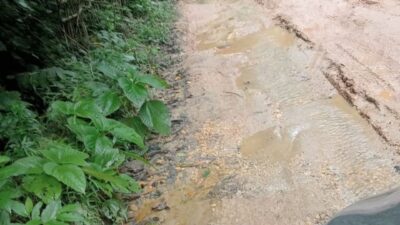 Warga Keluhkan Jalan Rusak di Desa Totombe Jaya, Pemerintah Dinilai Tutup Mata
