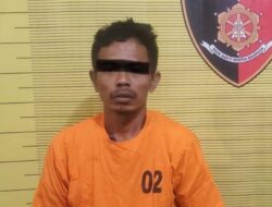 Wajah Pelaku Terekam CCTV, Maling Ayam Siam Ditangkap Polres Binjai