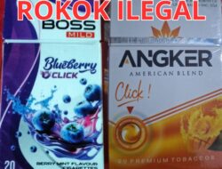 Miris, Sampai di Era Presiden Prabowo Rokok Ilegal Semakin Merajalela, Kanwil Bea & Cukai Sulawesi Diduga Tutup Mata