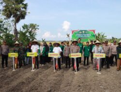 Penanaman  Jagung Serentak di Lahan Pondok Pesantren MIZANUL ULUM, Wujud Dukungan  Program Ketahanan Pangan Polres Takalar 