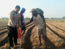 Bhabinkamtibmas Desa Bentang Tanam Jagung Bersama Warga, Dukung Program Ketahanan Pangan Nasional