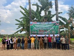 Dukung Ketahanan Pangan, Polres Takalar Bersama Pemerintah Desa Gelar Penanaman Jagung di Galut
