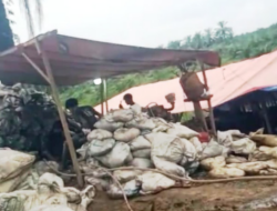 Tambang Emas Ilegal di Limbur Lubuk Mingkuang, Pelanggaran UU Minerba dan Ancaman Bagi Lingkungan