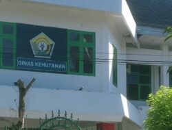 Pasca Penggeledahan Kantor Dishut Sultra Oleh Tim Kejagung RI