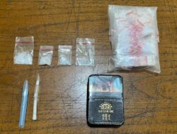 Kelabui Petugas, Seorang Pria Digelandang Satres Narkoba Polres Binjai