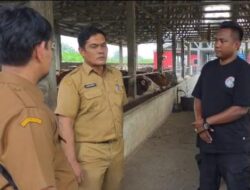Antisipasi Wabah PMK, Pemko Binjai Vaksinasi Hewan Ternak Sapi